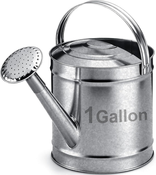 Geetery 1 Gallon Galvanized Metal Watering Can, Removable Spout, Silver