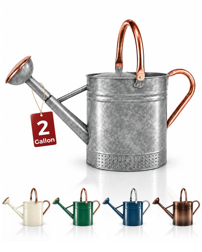 Bamworld Outdoor Watering Can Dual Handle Removable Nozzle 2 Gallon Silver