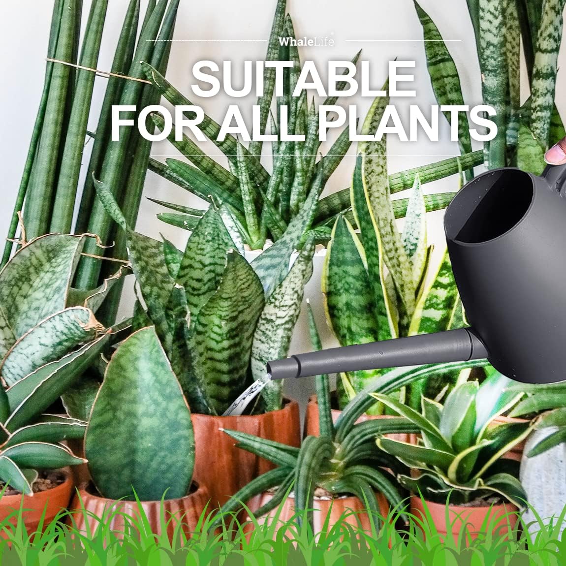 Indoor Plant Watering Can Long Spout for House Plants 2L/67oz Gray