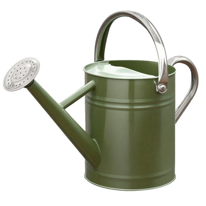 Metal Watering Can 1 Gallon for Outdoor Garden Plants, CGreen