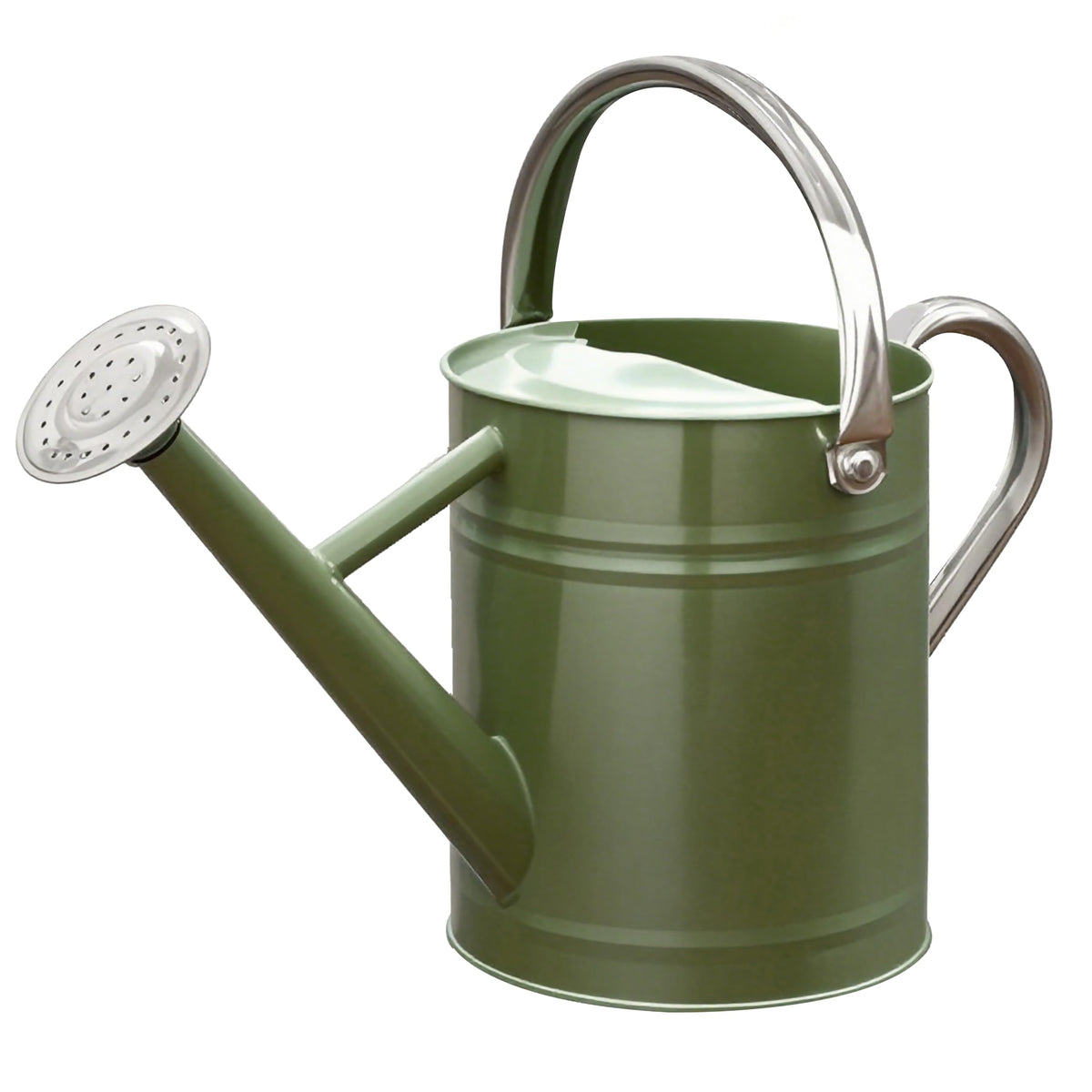 Metal Watering Can, 1 Gallon for Outdoor Garden Plants,EGreen