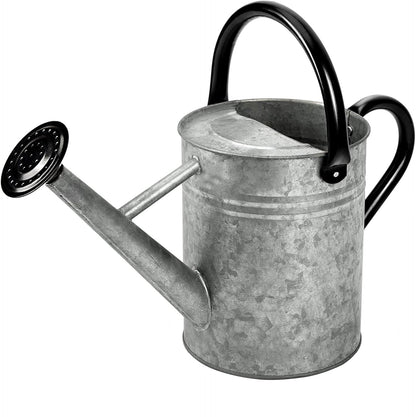 Metal Watering Can 1 Gallon for Outdoor Garden Plants, CGreen