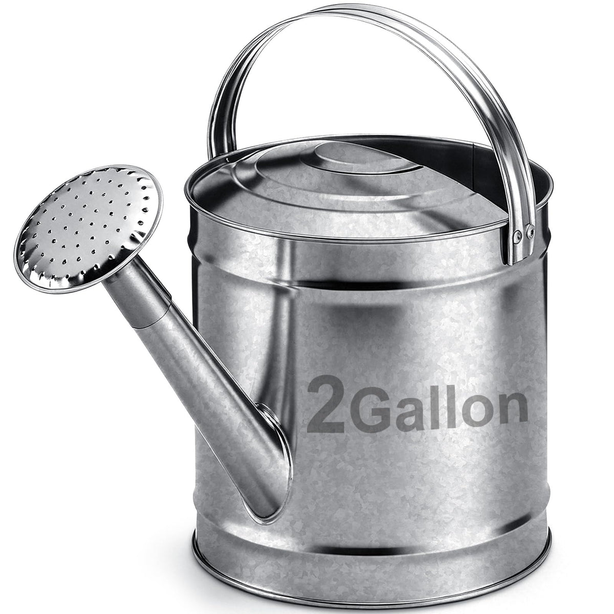 Geetery 1 Gallon Galvanized Metal Watering Can, Removable Spout, Silver