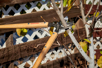 Corona Tools WL 3351 26″ Bypass Loppers – Heavy-Duty Branch Cutter for Trees, Shrubs & Landscaping