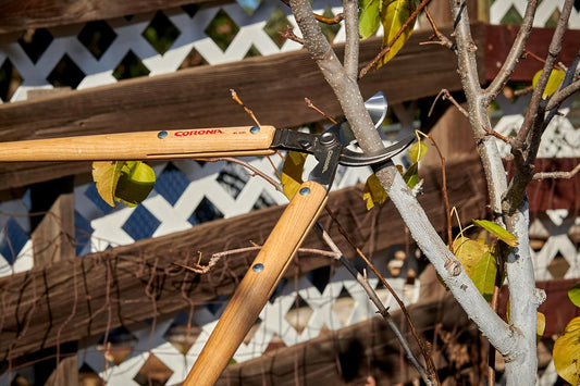 Corona Tools WL 3351 26″ Bypass Loppers – Heavy-Duty Branch Cutter for Trees, Shrubs & Landscaping