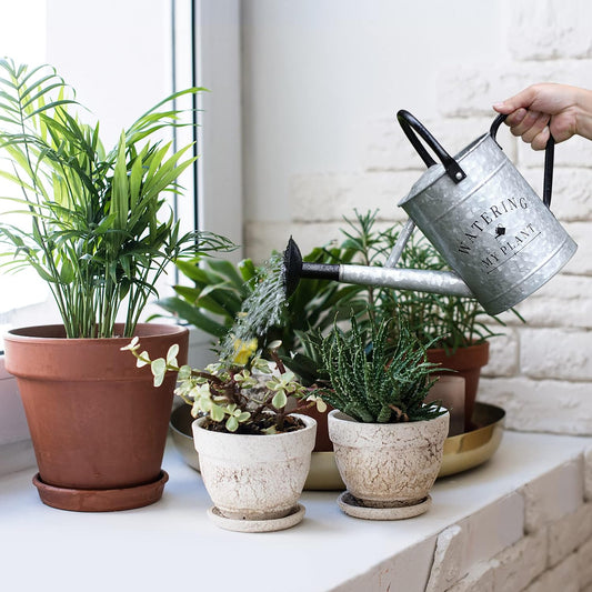 Garutom Galvanized Watering Can for Outdoor Indoor Plants, 1 Gallon Decorative Countryside Style Water Can with Removable Spout, Perfect Metal Watering Can for Indoor Plants and Garden Flower