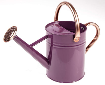 Gardman R34896 1 Gallon Watering Can, Midnight Blue