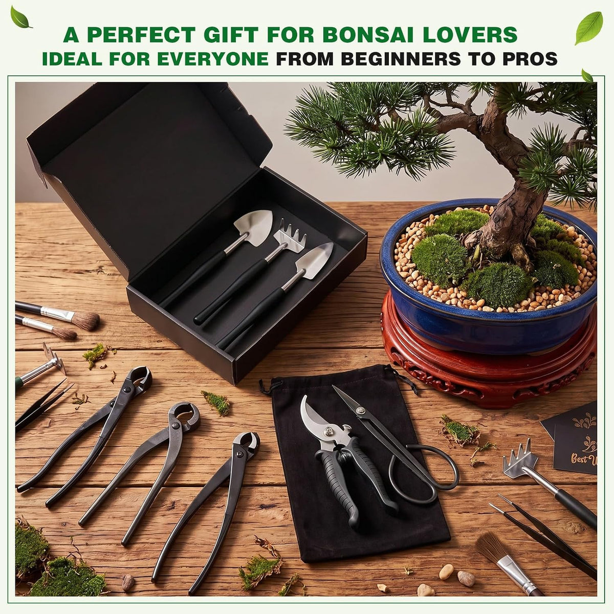 17 Pcs Bonsai Tool Kit Set, Bonsai Cutting Tools and Wire Rolls, Black
